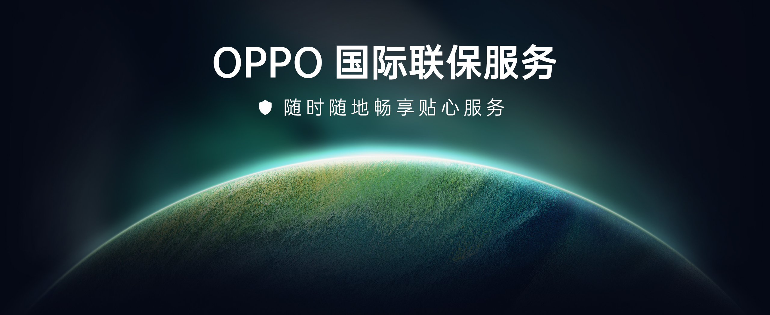 国际联保